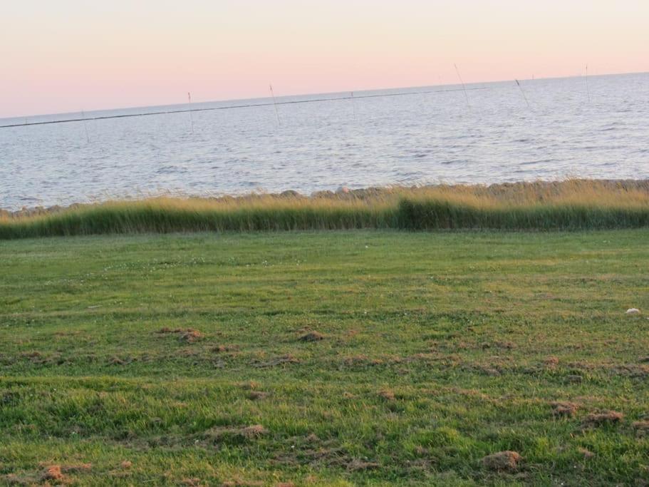 Nordsee Und Natur. Gemuetliche Fewo Mit Deichblick Dorumer Neufeld Exterior photo