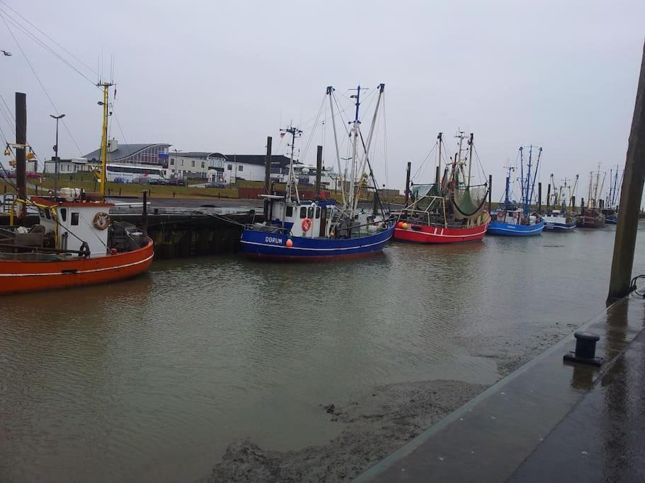 Nordsee Und Natur. Gemuetliche Fewo Mit Deichblick Dorumer Neufeld Exterior photo